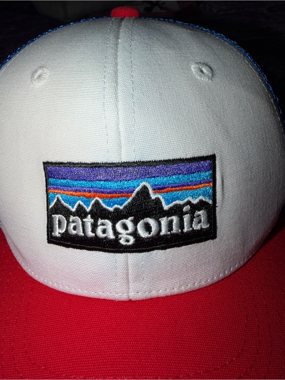 VTG Patagonia Mesh Canvas Patch Sunset Mountains Logo netplus Trucker USA Hat